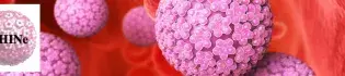 Decorative banner showing computer-generated image of cells, and the SHINe logo.