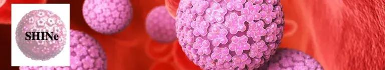 Decorative banner showing computer-generated image of cells, and the SHINe logo.
