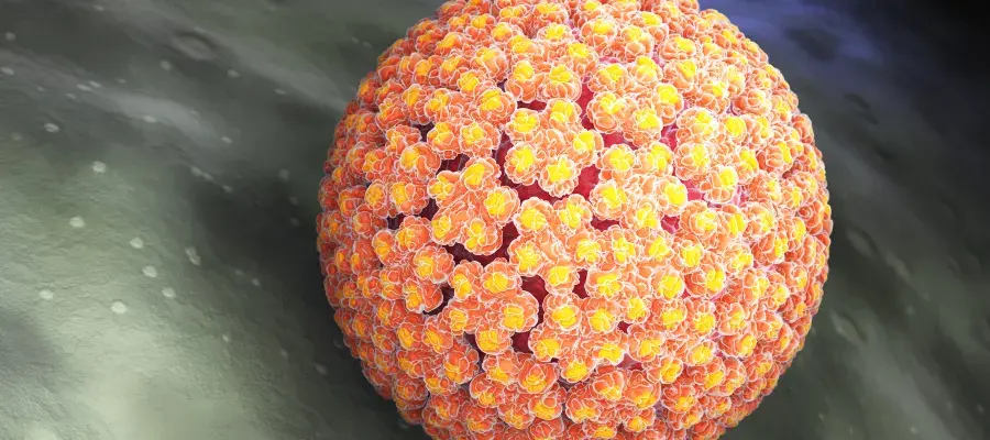 HPV virus