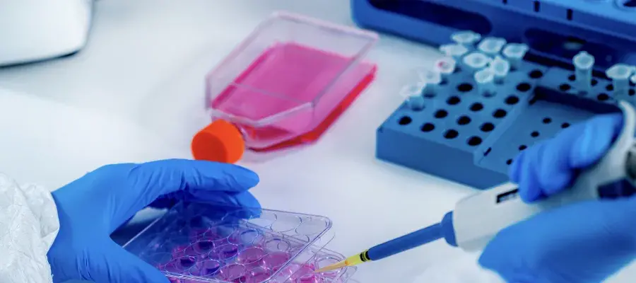 Person in a laboratory with blue surgical gloves