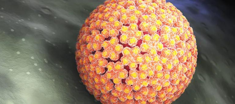 HPV virus