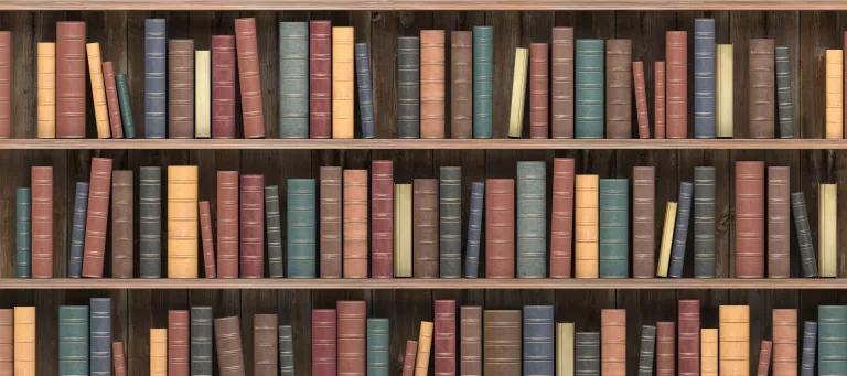 Lots of books on a shelf